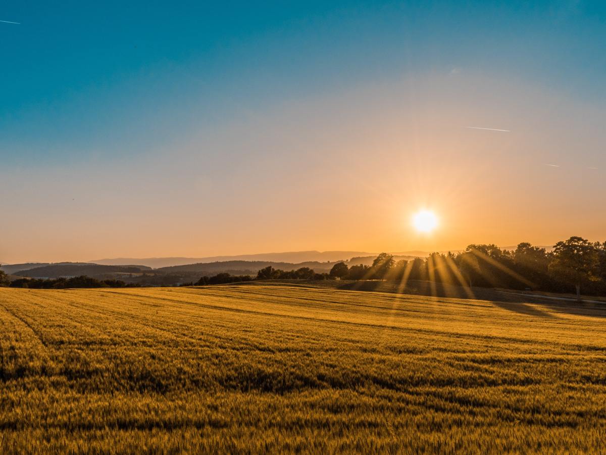 How Great is Your&nbsp;God?