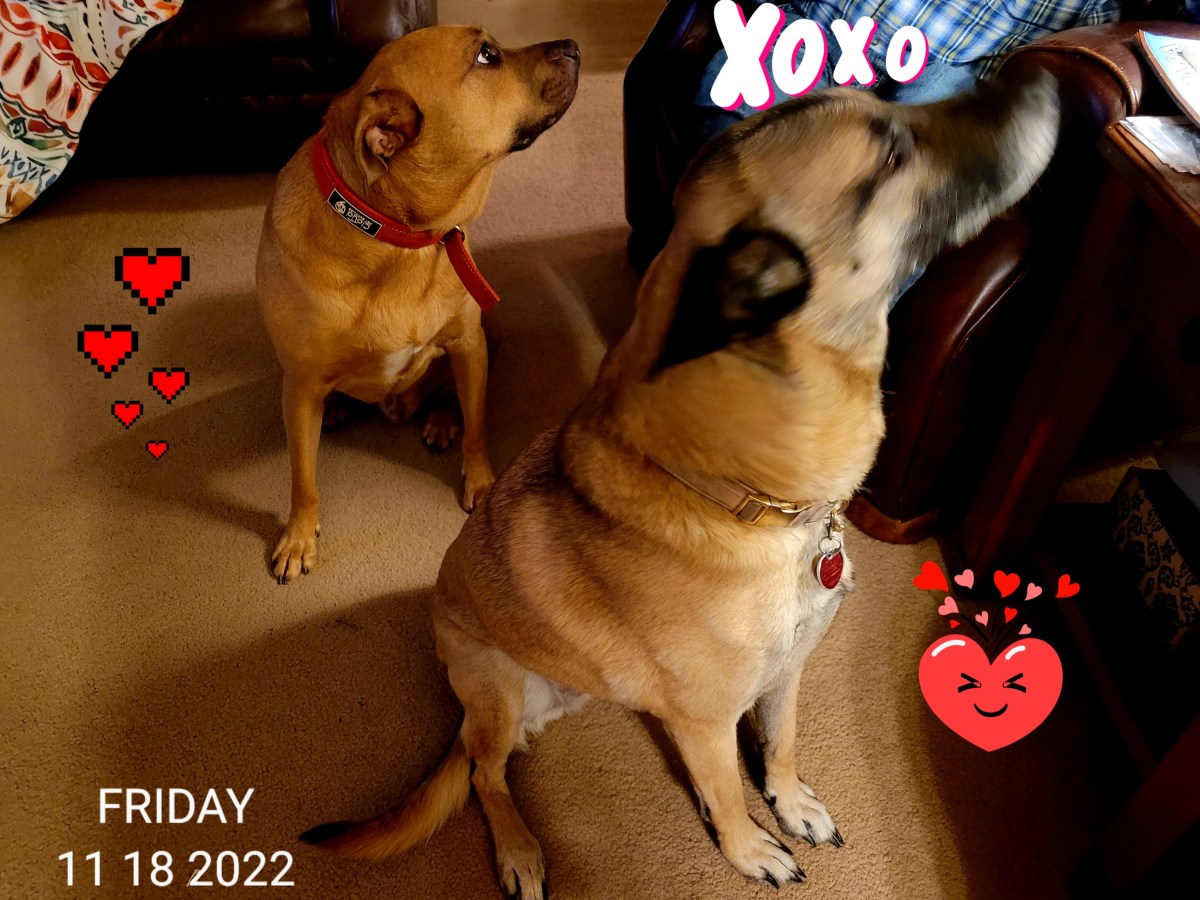 Be Kind to One&nbsp;Another