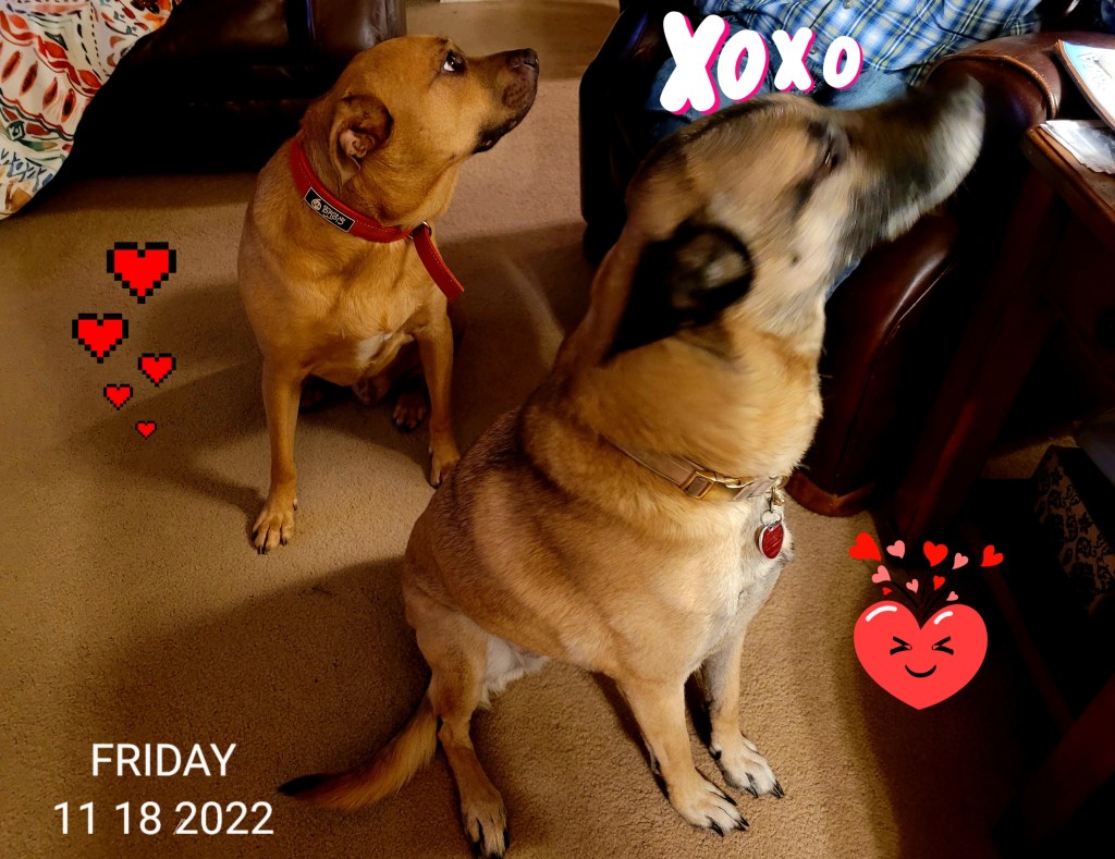 Be Kind to One&nbsp;Another